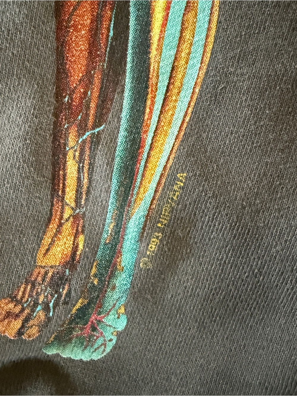 NIRVANA In Utero Logo Size Large Charcoal Hoodie with Side Pockets - Picture 2 of 8